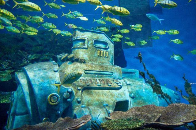 武汉海洋公园游玩记，观鸟、赏花、捕鱼、游园……元旦小长假第一天