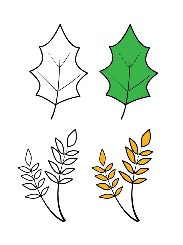 儿童叶子简笔画简单，16种不同树叶的儿童简笔画素材