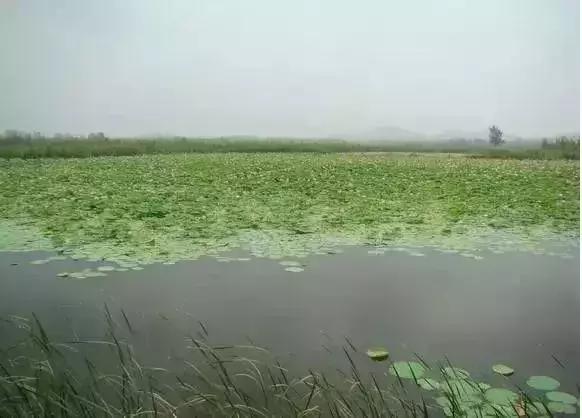 山东旅游景点大全，山东各地旅游景点大全（最后一个很低调的5A景区）