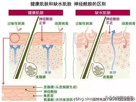 屈臣氏是卖什么的，屈臣氏必买10件良心产品（屈臣氏，大事不妙）