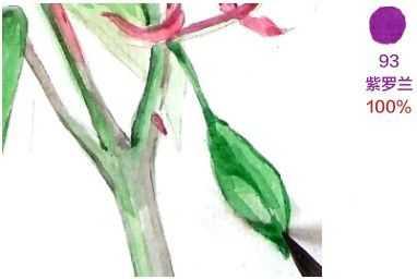 玫瑰画教程图解，玫瑰花图案的手绘方法