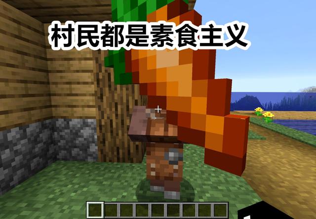 我的世界你一定要知道的冷知识，我的世界还有啥