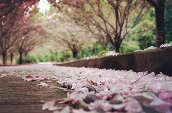 纳兰性德意境很美的诗，10首经典《如梦令》