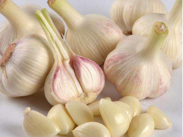 临沂兰陵景点介绍，山东临沂兰陵的美景