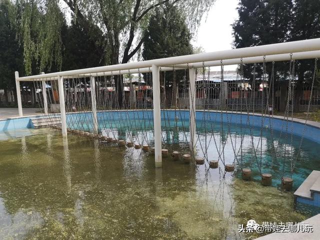 南宫旅游十大必去景点，假日乡村打卡丨夏日来南宫看民族主题花车巡游