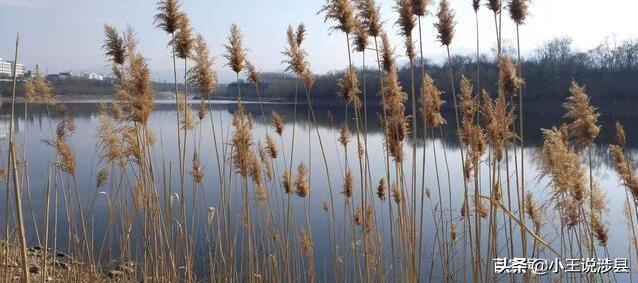 涉县有哪些旅游景点，巍巍太行生态肺城
