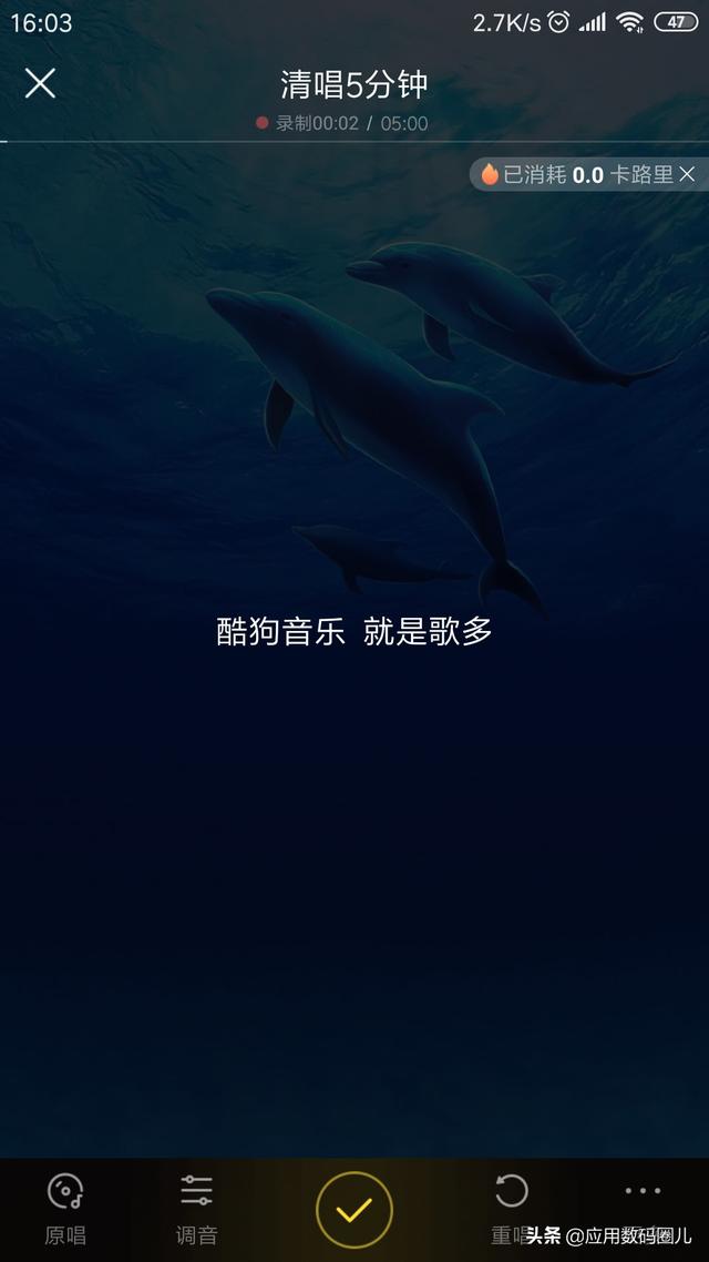 酷狗音乐概念版，酷狗音乐概念版和原版哪个好