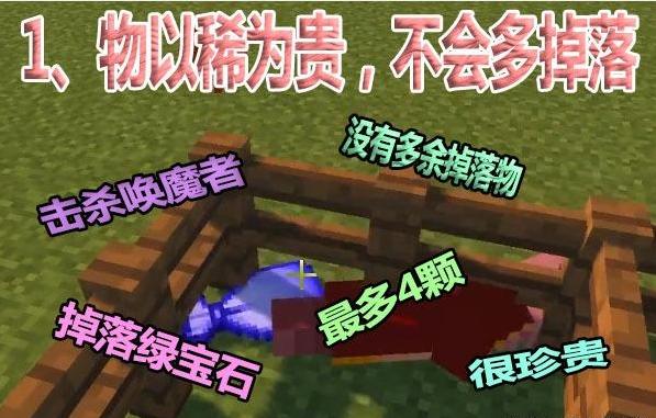 我的世界不死图腾，我的世界不死图腾分类