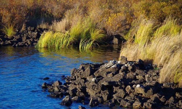 阿尔山的风景，《走进内蒙》景色迷人
