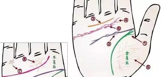 面诊图解大全清晰图，手诊面诊全息图解（你也能当半个医生）