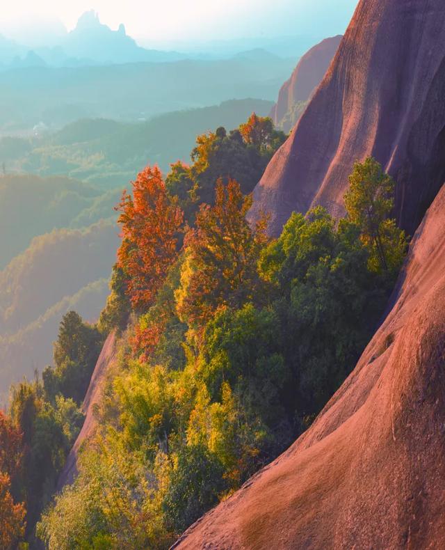 丹霞山海拔多少米，丹霞山重要景点有哪些（广东韶关丹霞山进入观云海最佳时期）