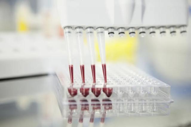 喝汤真的有营养吗，喝汤真的更有营养吗