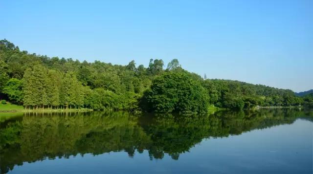 广州大夫山在哪，广州番禺-大夫山