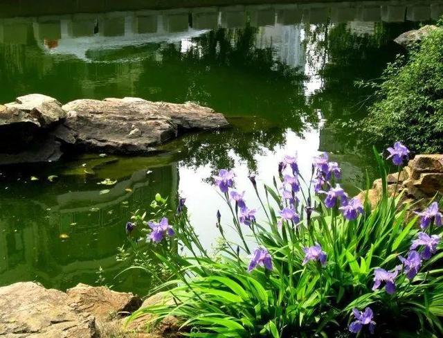 庭院水景观怎么设计，庭院中式元素—叠水