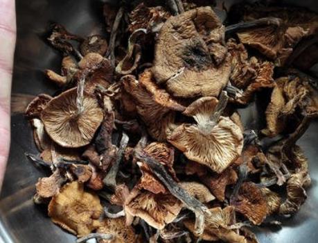 大厨教你香菇炖鸡家常做法，东北名菜小鸡炖蘑菇