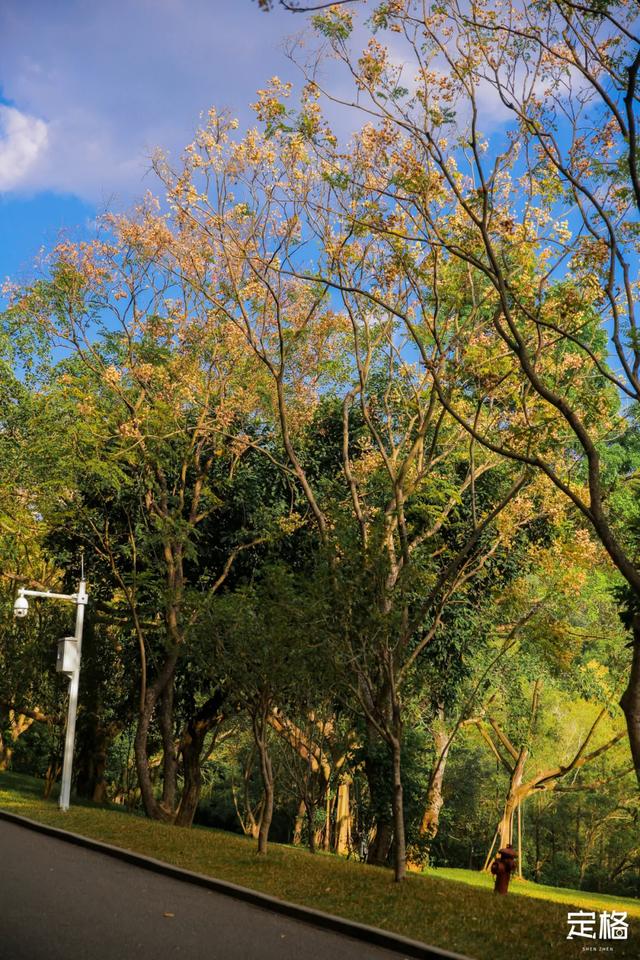 莲花山公园 网红打卡地，莲花山公园又红了