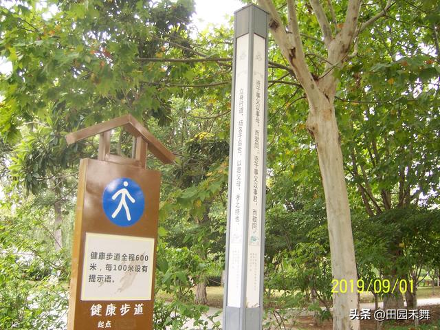 连云港新浦公园，连云港新浦公园在什么位置