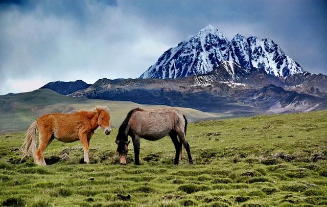 甘孜州十大旅游景点介绍，四川新晋4A级景区盘点