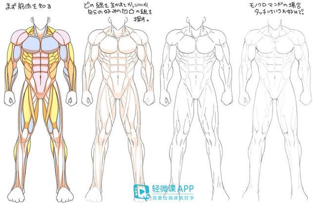 新手如何学会画漫画，绘画经验如何有效的学习画漫画