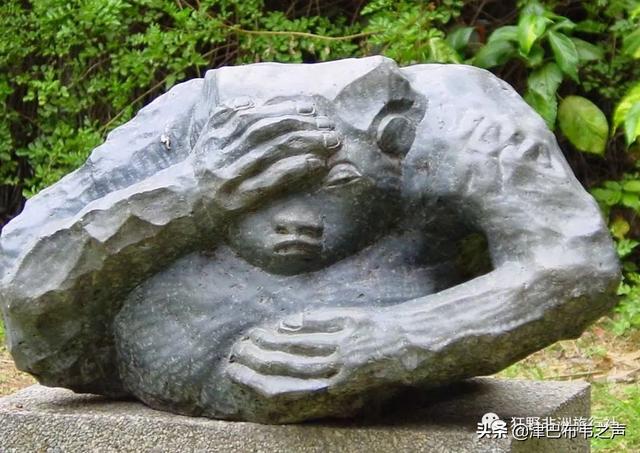 津巴布韦总统现状，津巴布韦总统埃默森·姆南加古瓦在“杂交水稻援外与世界粮食安全”国际论坛上的致辞