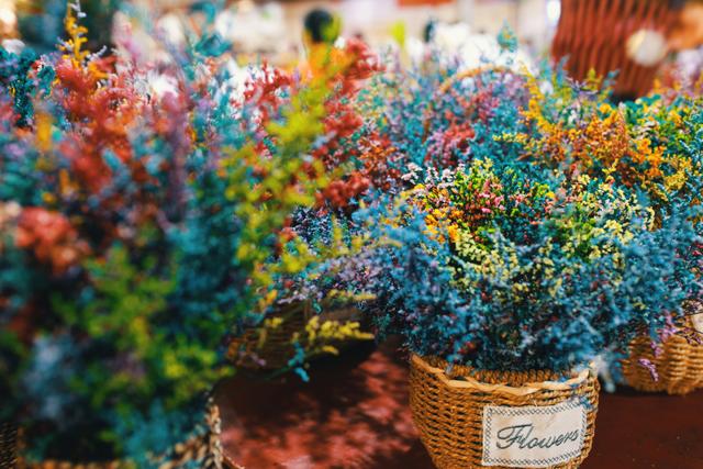 昆明最大的鲜花市场叫什么名字，昆明最受欢迎的2大花市