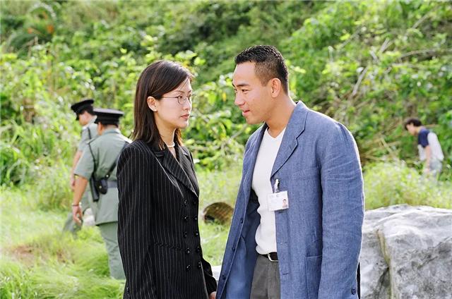 香港版霍元甲连续剧连播，8部只有20集的港剧