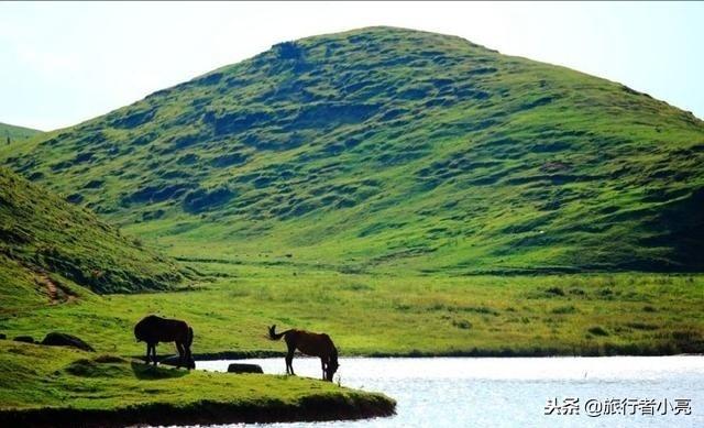 郴州网红景点排名，湖南省郴州市有什么旅游景点（超级适合周末出游和部门团建）