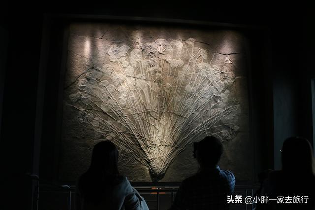 国家海洋博物馆，国家海洋博物馆官网讲解（国家海洋博物馆游记）