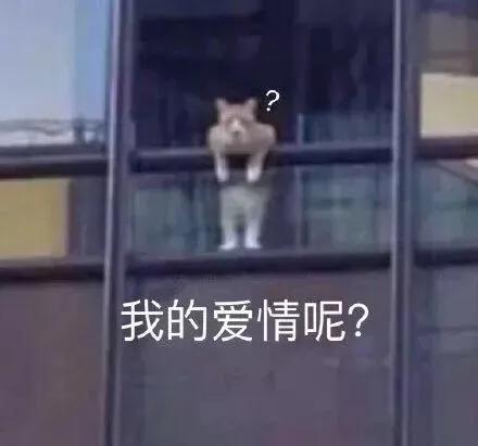 丧系语录 短句，101个直击心灵深处的毒鸡汤