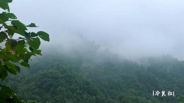 洋姜的做法大全，如何用洋姜做美食（遇见洋姜抓紧囤）