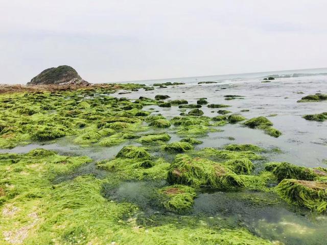 惠州海岛旅游景点哪里好玩，惠州野沙滩大汇总：8个野沙滩