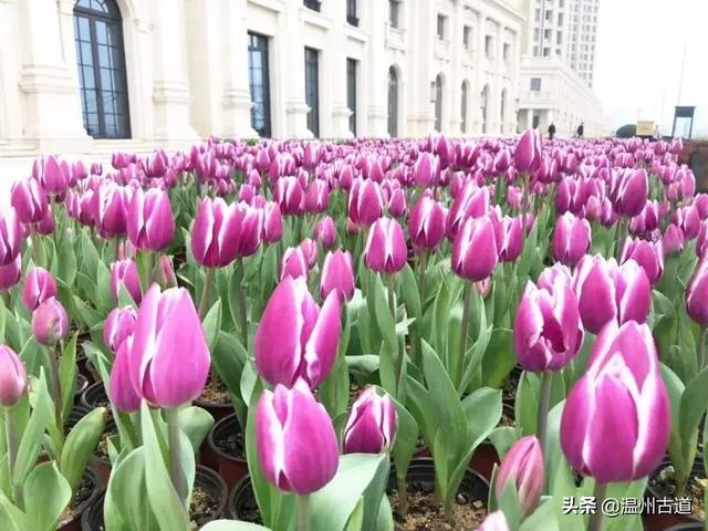 瑞安附近景点一日游好去处，温州十大避暑旅游景点