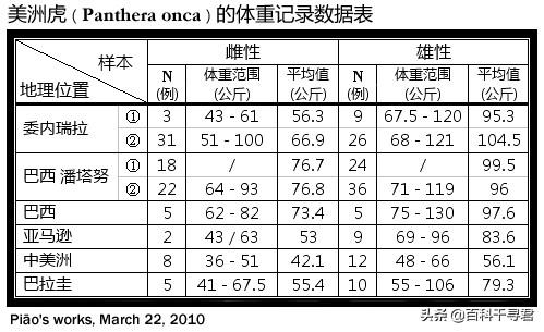 豹虎猫科动物图鉴，盘点所有猫科动物的杂交品种