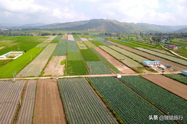 宁夏西吉县的发展，西吉“定心开路”给民营企业发展底气