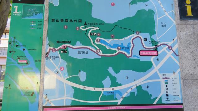 广州南沙湿地公园，广州南沙18涌湿地公园