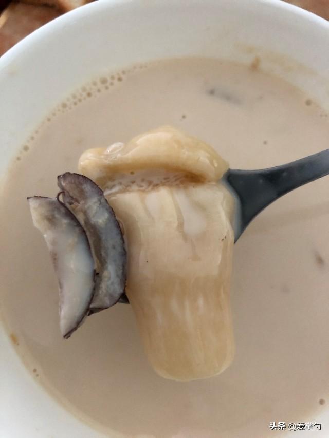  牛奶炖鱼胶放点什么好，家有鱼胶可以试试这样做