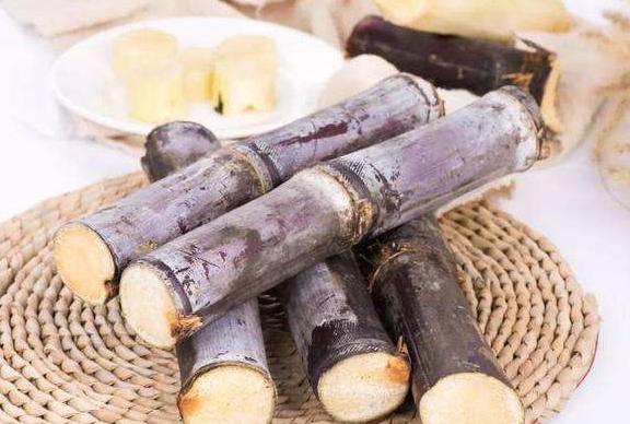 狗狗可以吃提子吗，狗狗不能吃的五种水果