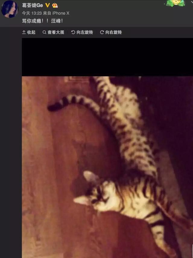 汪峰三招搞定章子怡，三婚汪峰为何能娶到章子怡