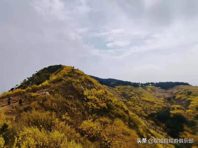 济南可爬的山有哪些，济南这些风光绝美的山峰