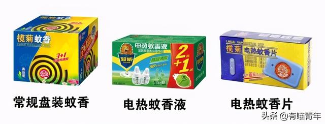 绿萝对猫有毒吗，猫咪吃了一口绿萝