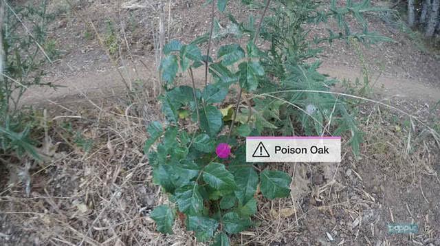 ar测量是什么，AR一下你就知道啦（关于ar你知道多少）