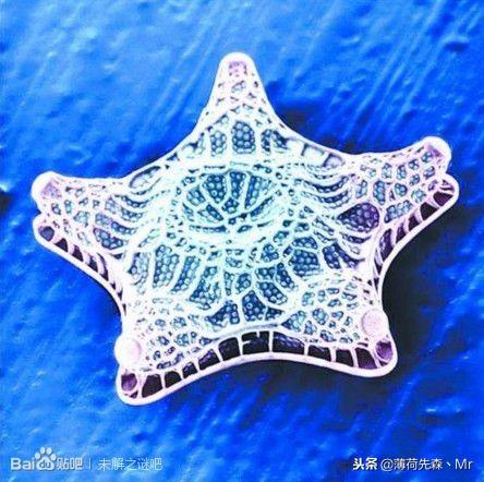 图文直播神秘世界999个未解之谜，世界未解之谜神秘地方