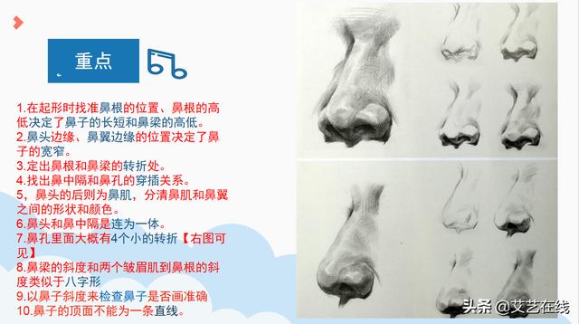 素描人物五官入门教程，素描人像五官-鼻子结构及作画步骤解析