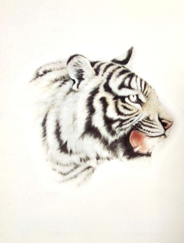 画虎怎么画才好，老虎画法-陈家明画虎
