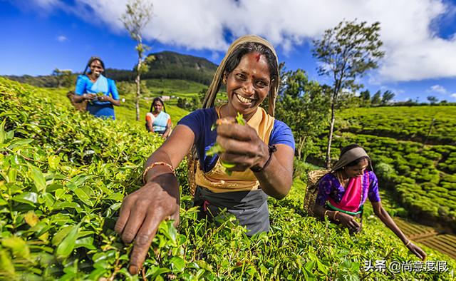 马尔代夫自由行旅游攻略，一个国家的价格玩两国