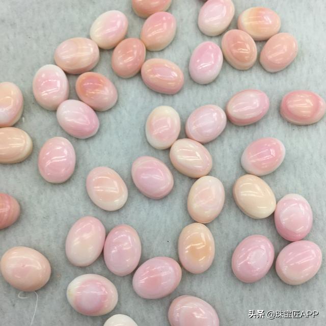 女王贝是什么宝石，贝壳首饰的颜色（珠宝首饰、钟表类目管理规则丨鸿石）