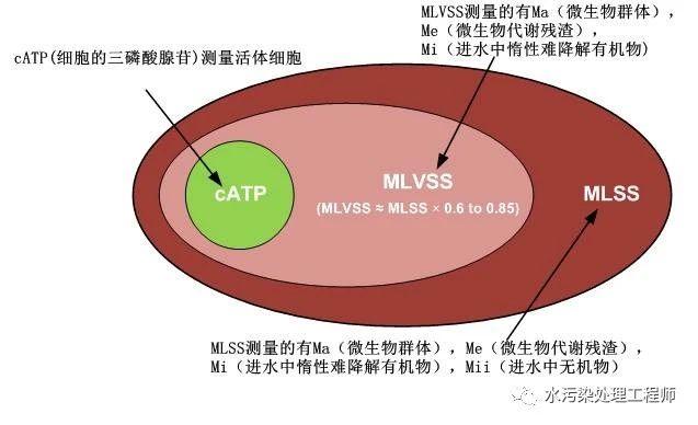 MLVSS，详解混合液悬浮固体浓度MLSS