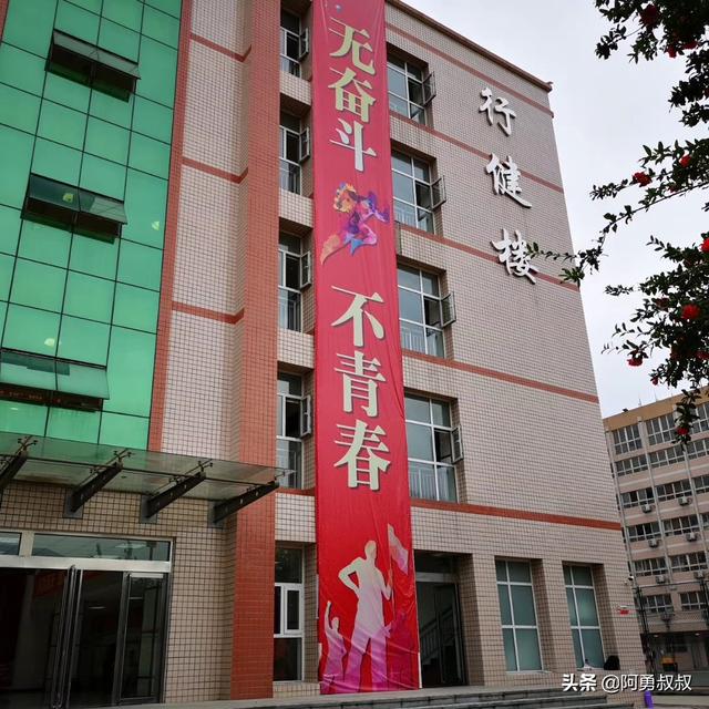 石家庄精英小学，石家庄精英学校蜕变史