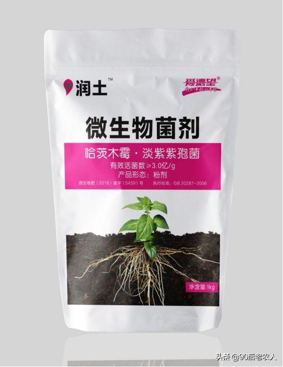 立枯病的病害有哪些特征，立枯病介绍