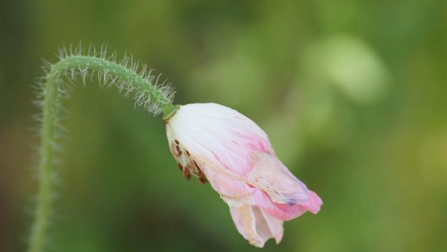 奥林巴斯em1，奥林巴斯em1mark3测评